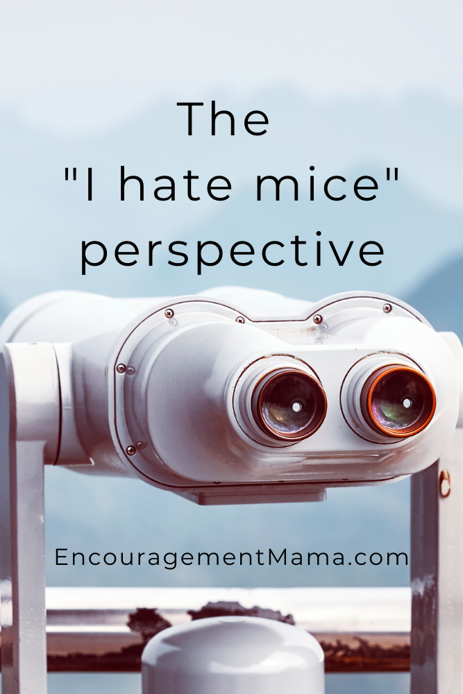 The “I hate mice” perspective of life…